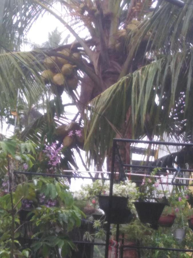 Loku Mirissa Exterior foto