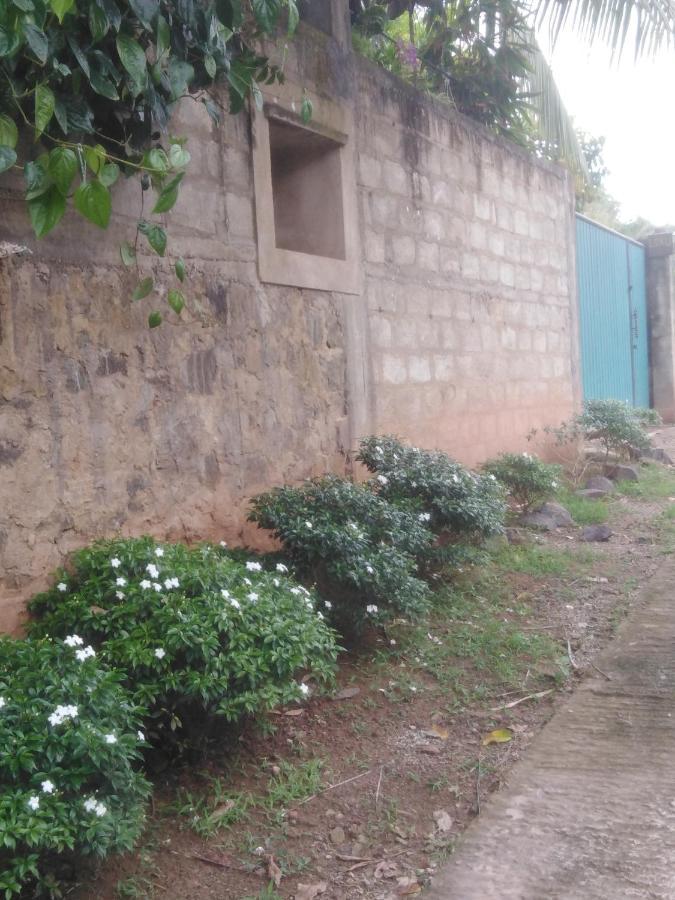 Loku Mirissa Exterior foto