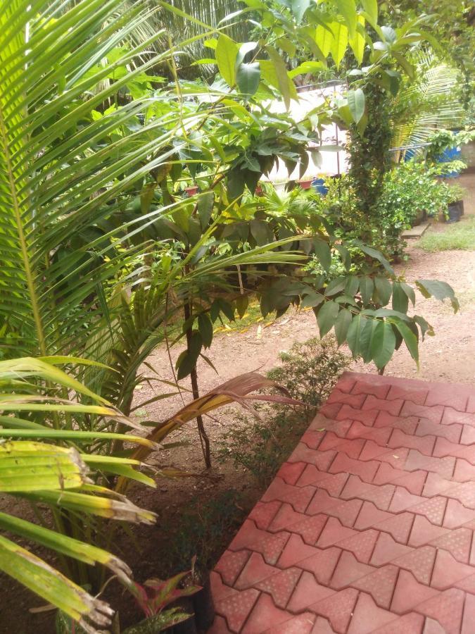 Loku Mirissa Exterior foto