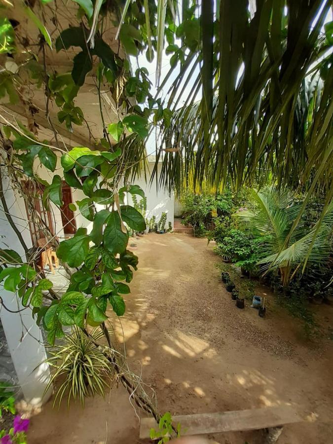 Loku Mirissa Exterior foto